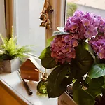 Appartement Zauberhafte Mit Hogwarts-feeling Und Terrasse *