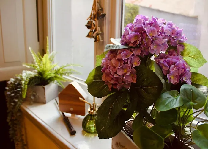 Apartment Zauberhafte Mit Hogwarts-feeling Und Terrasse *