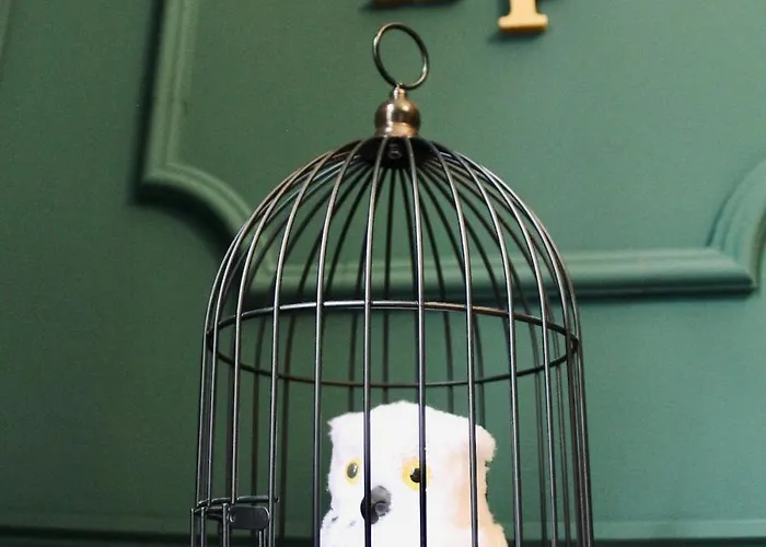 Zauberhafte Mit Hogwarts-feeling Und Terrasse 杜伊斯堡